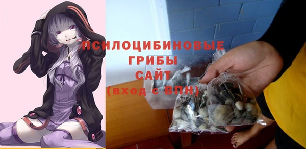 соль ск Мегион