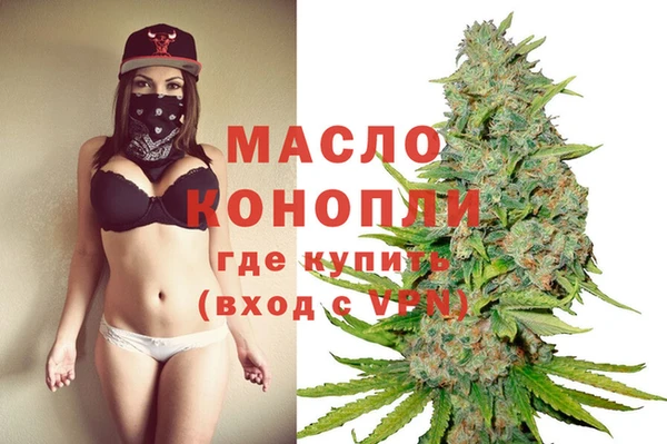 дживик Магас
