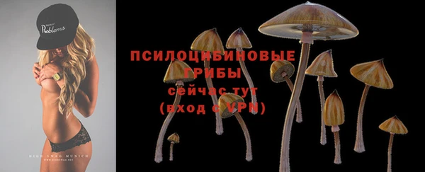 амф Майский