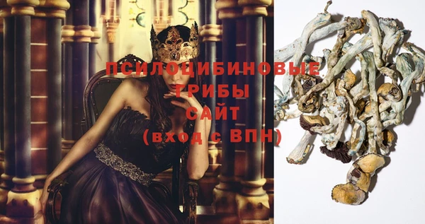 каннабис Михайловка