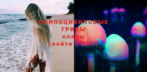соль ск Мегион
