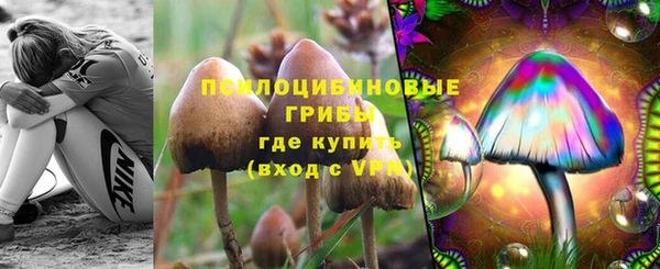бошки Медногорск