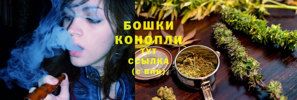 ГАЛЛЮЦИНОГЕННЫЕ ГРИБЫ Магадан