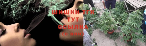 гидра Медвежьегорск