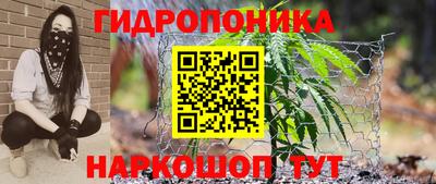 эйфоретик Будённовск