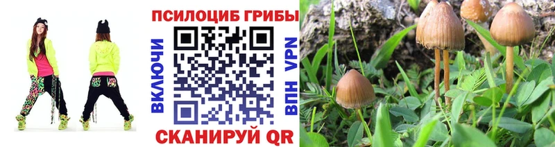 Псилоцибиновые грибы мухоморы Зеленодольск