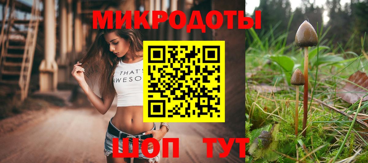 Галлюциногенные грибы мицелий  Вход с VPN  Зеленодольск 
