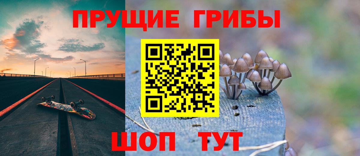 Галлюциногенные грибы Cubensis Зеленодольск